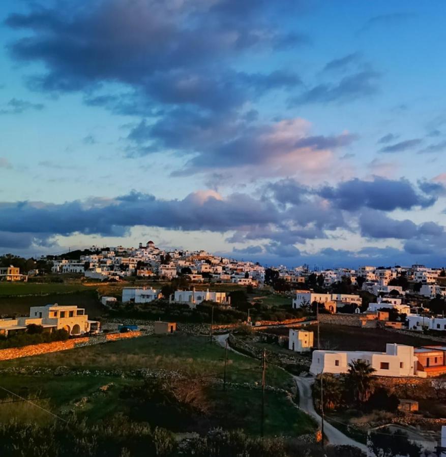 Amphitrite'S Haven - Cycladic House In Marpissa, Paros Villa Bagian luar foto